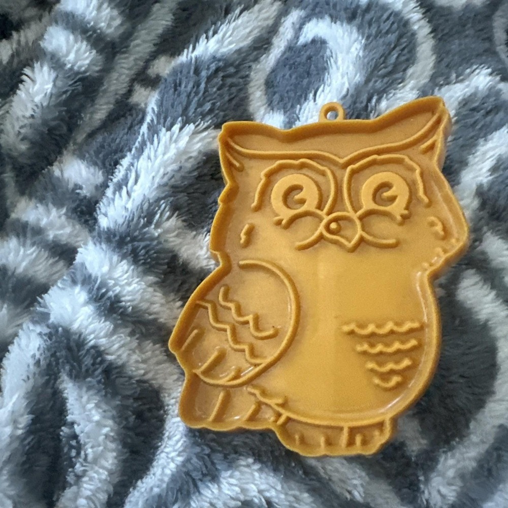 Hallmark Vintage Plastic Cookie Cutter - Owl Halloween Back to School Wise Bird